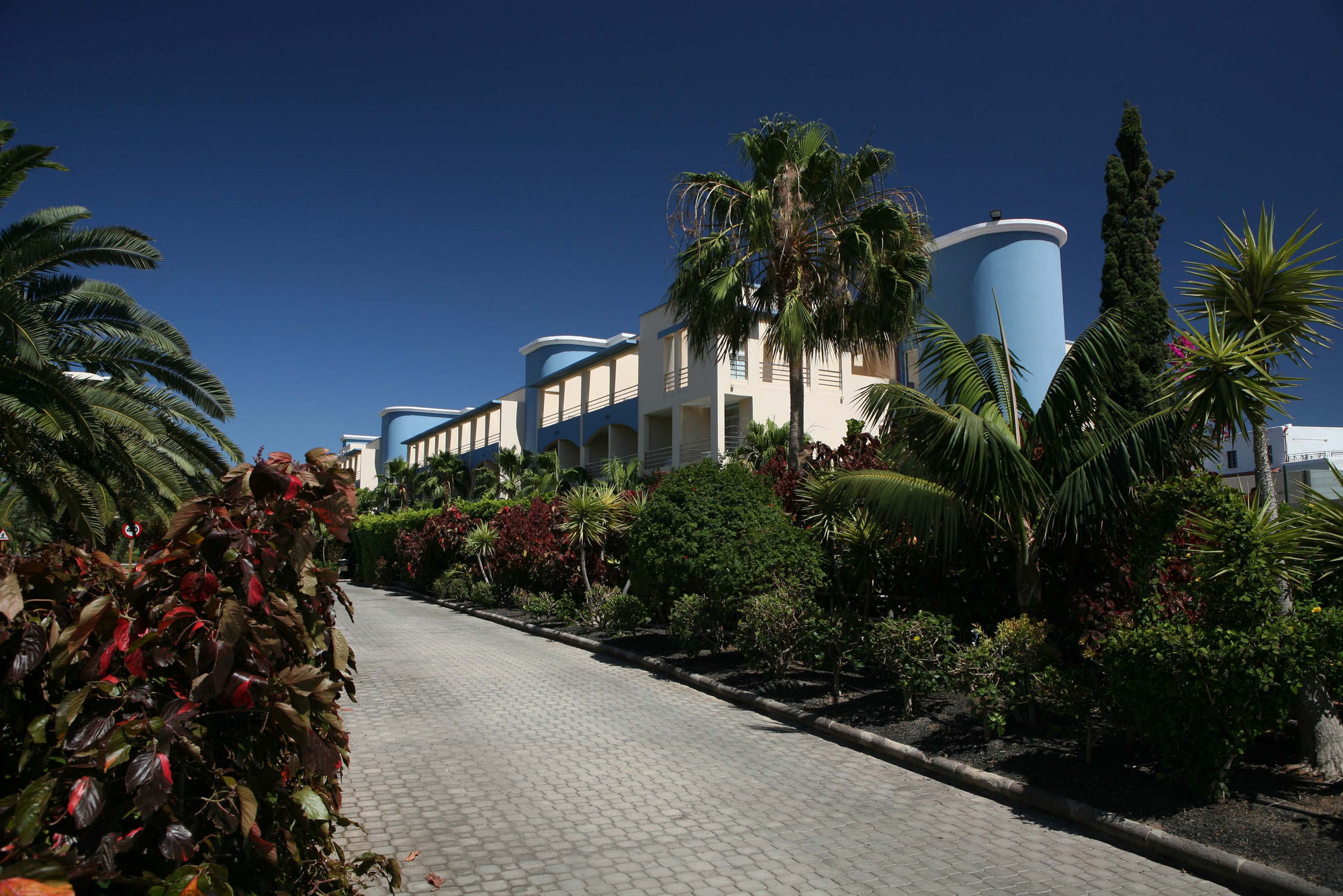 Ifa Altamarena By Lopesan Hotels モロ・デル・ハブレ エクステリア 写真